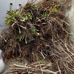 ☆キャンプ用の薪や枝☆