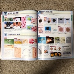 スクエア最新図説生物ｎｅｏ　吉里　勝利　他監修の画像