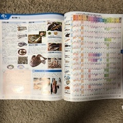 生活ハンドブック 資料＆成分表／第一学習社編集部 の画像