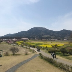 キッチンカー出店募集
