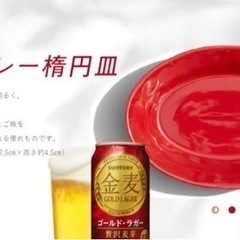 金麦　あいあいカレー皿【未使用品】②の画像