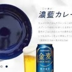 金麦　あいあいカレー皿【未使用品】④の画像
