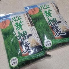 決定しました　胚芽押麦　1キロ入り　2袋　未開封　賞味期限近し
