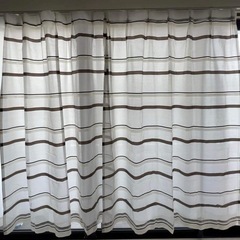 茶のストライプレースカーテン　幅１００×１７６cm ２枚