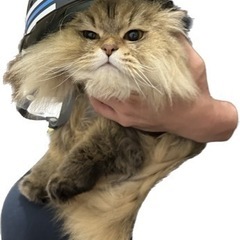 北海道札幌市勤務【足場鳶職人】学歴関係なし！未経験からチャレンジできます！の画像
