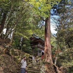 広島のパワースポット巡り一緒にしませんか⛩ - 友達
