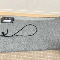 【受け渡し者決定】広電(KODEN) ホットカーペット