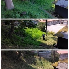 庭の手入れ 外構工事 従業員募集中 男女問わず  所沢市