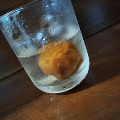お酒飲み行きませんか？🍻🍷✨ - 北区