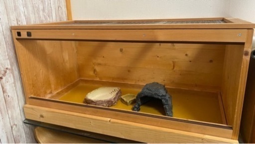 爬虫類飼育セット