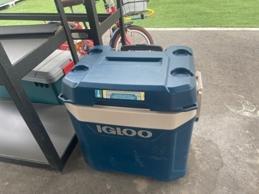 イグルー　クーラーボックス