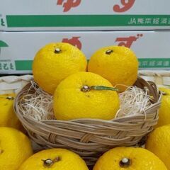 事務スタッフ募集！PCで文字入力ができればOK！の画像