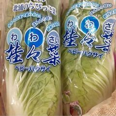 事務スタッフ募集！PCで文字入力ができればOK！の画像