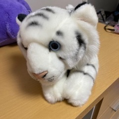 ホワイトタイガー ぬいぐるみの中古が安い！激安で譲ります