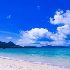 釣り仲間募集