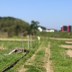 農作業や動物の飼育など自然と触れ合う仕事です、の画像