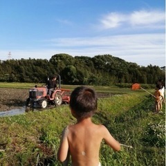 農作業や動物の飼育など自然と触れ合う仕事です、の画像