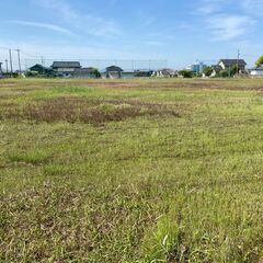 草刈り・庭園管理・空地管理承ります