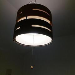 タキズミのペンダントライトの画像