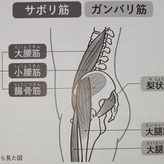 サボり筋トレーニング２月末までキャンペーン　初回特別体験料金　１,０００円！ - 地元のお店