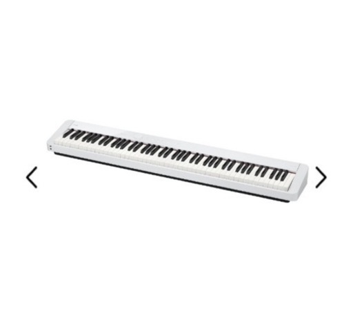 CASIO PX-S1100