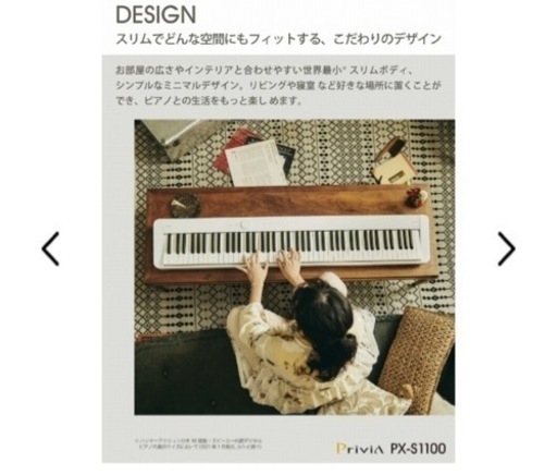 CASIO PX-S1100