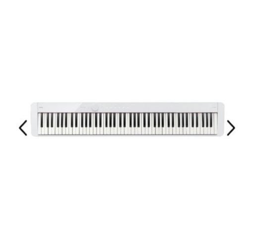 CASIO PX-S1100
