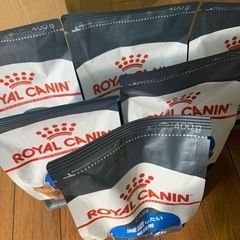 ロイヤルカナン　猫　減量したい成猫用