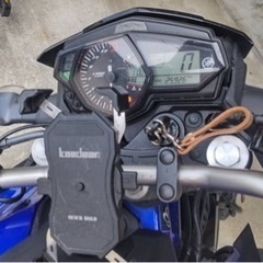 MT25 2019年式 の画像