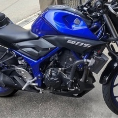 MT25 2019年式 の画像