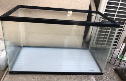 60cm 水槽