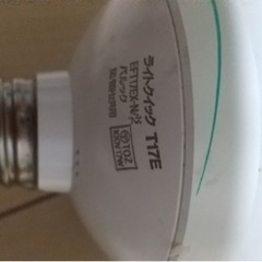 電球NＥＣの画像