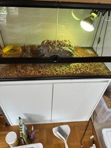 グラステラリウム　90×45 中古