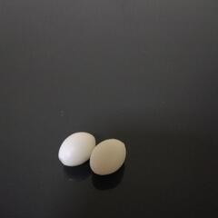 ［お話し中］【代理出品】鳥の偽卵