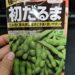 【野菜苗】ミニトマト、枝豆などの画像