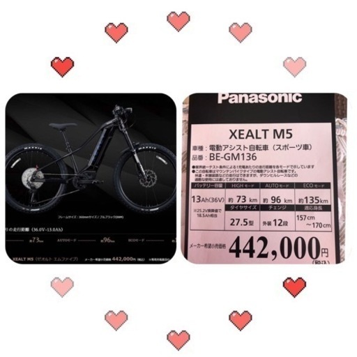 Panasonic 電動アシスト自転車(スポーツ) 300000