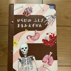 飛び出す体まる見え図鑑