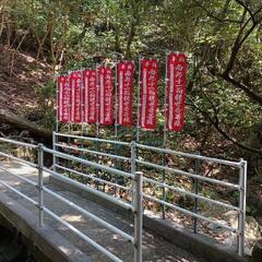 北九州でのぼり旗奉納をしてみたい方いらっしゃいませんか？