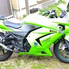 KAWASAKI(カワサキ) Ninja(ニンジャ) 250R 2008年式　ライムグリーンの画像