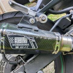 KAWASAKI(カワサキ) Ninja(ニンジャ) 250R 2008年式　ライムグリーンの画像