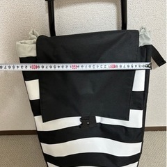 最終値下げ！定価6300円/ショッピングカート 保冷バッグ クーラーボックス の画像