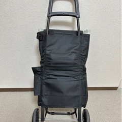 最終値下げ！定価6300円/ショッピングカート 保冷バッグ クーラーボックス の画像
