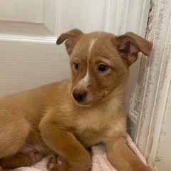 お鼻のラインが可愛らしい男の子