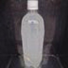 ゾウリムシ900ml 🐟