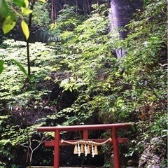 大阪府南部~和歌山県北部で😊👍