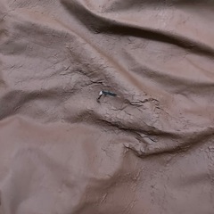 よもぎ蒸しの画像