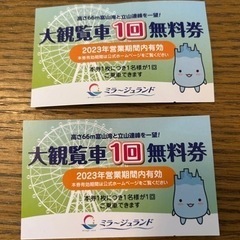 12月末削除‼️魚津ミラージュランド大観覧車チケット　２枚