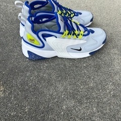 NIKE エアズーム　の画像