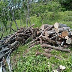 （新たに伐採🐜）くるみ　薪　薪ストーブ　原木　軽トラ積み放題1台...