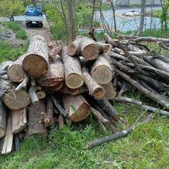 （新たに伐採🐜）くるみ　薪　薪ストーブ　原木　軽トラ積み放題1台２９００円の画像